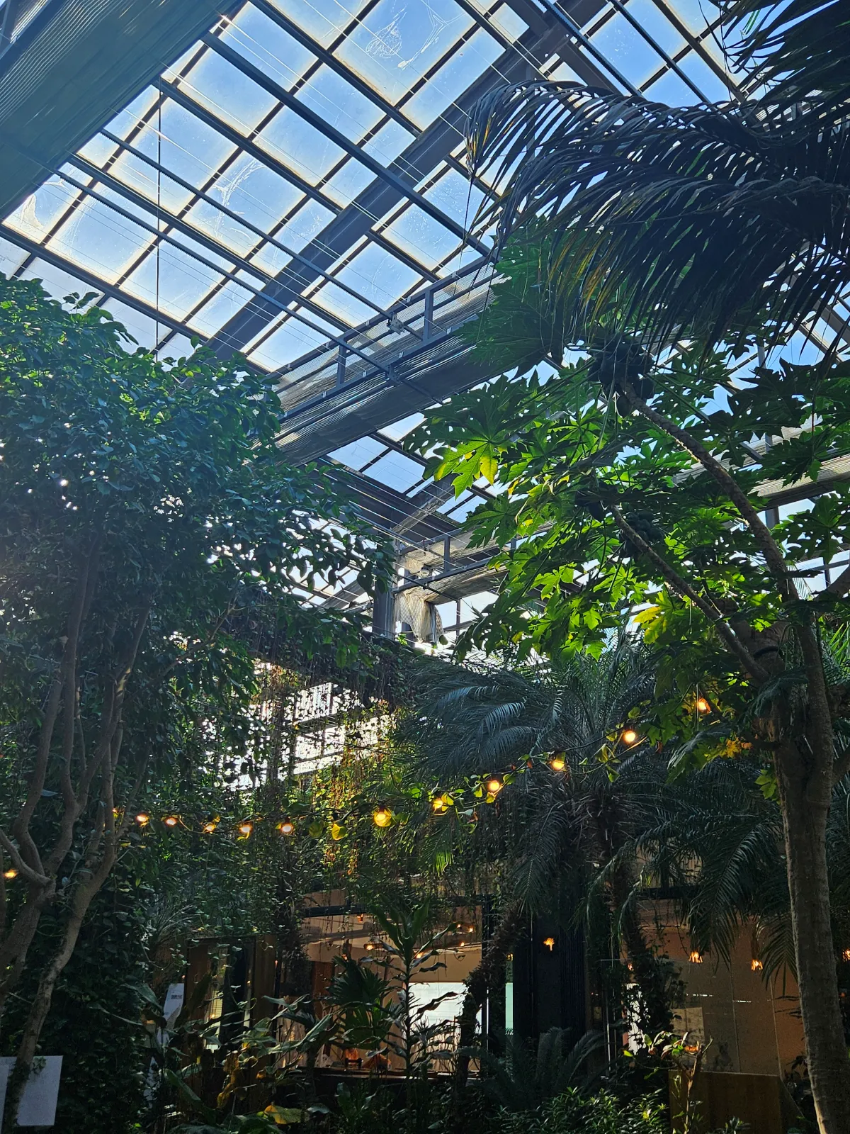 나무와-식물이-조화롭게-구성되어-있는-실내