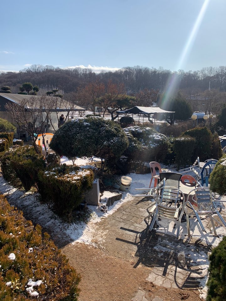 봉순게장
