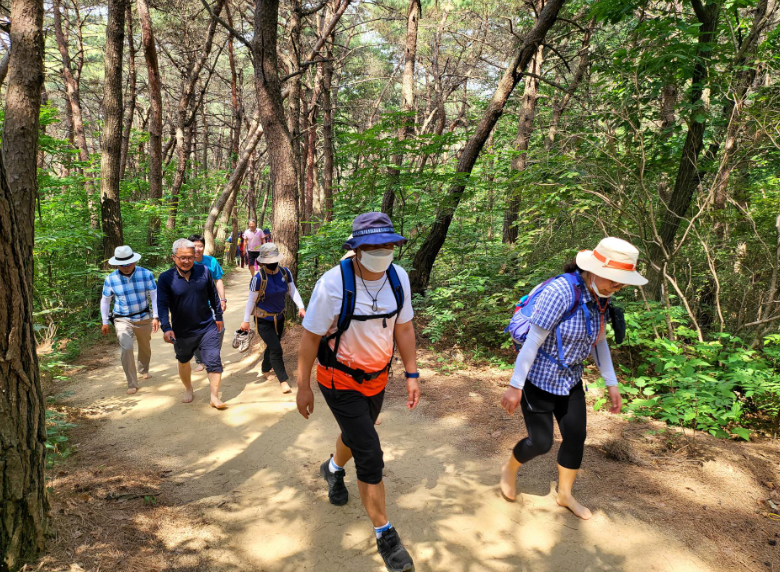원주 맨발걷기