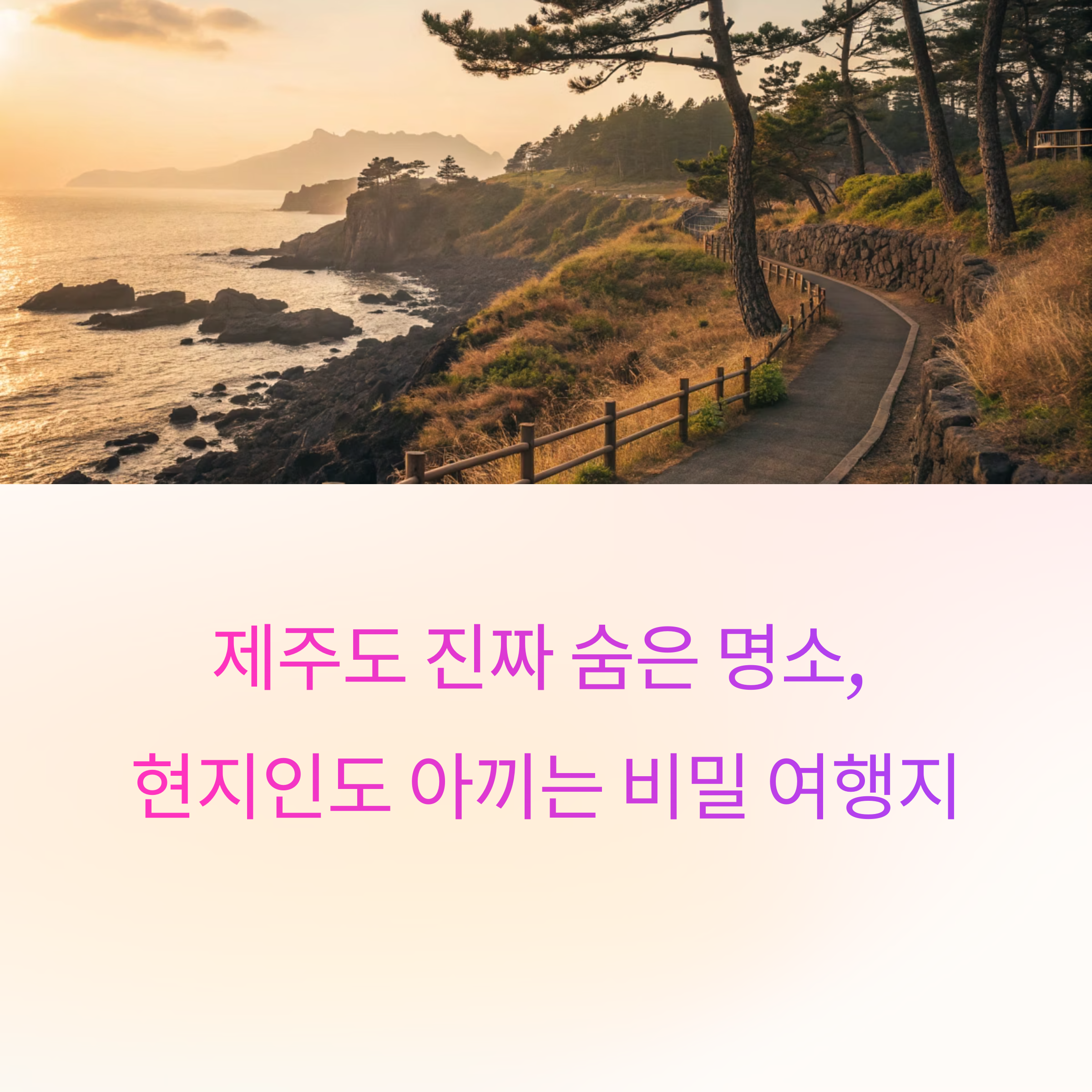 제주도 진짜 숨은 명소, 현지인도 아끼는 비밀 여행지