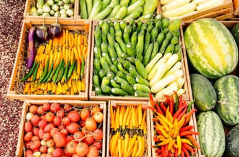 농할상품권 구매방법 사용처 사용기간 구매한도팁