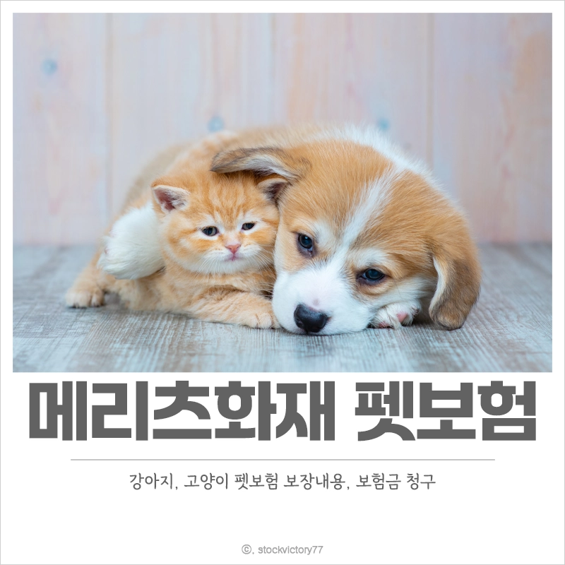 메리츠화재-펫보험-강아지-고양이-보장내용-보험금-청구