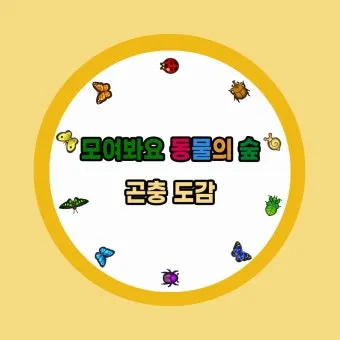 곤충과 동물의 차이점 생물 분류 기준과 이해 돕기_24