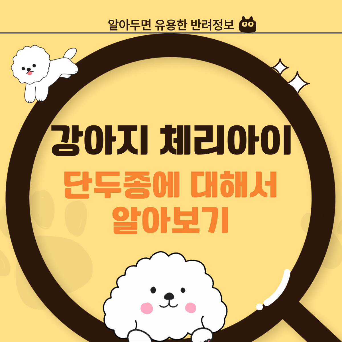 강아지 체리아이, 단두종이 더 취약한 이유와 예방법