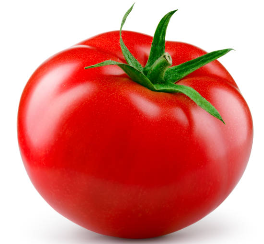 토마토