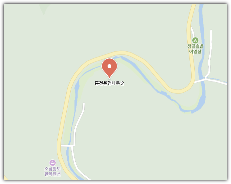 홍천 은행나무숲 지도