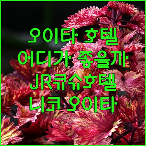 오이타 호텔 완벽 분석 JR 큐슈 호
