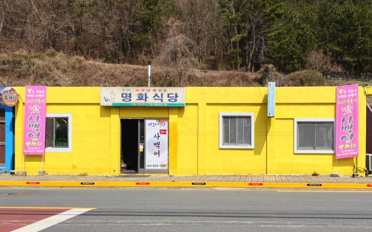 사백어 회 파는곳 실치 맛 식당 추천 먹는법 명화식당