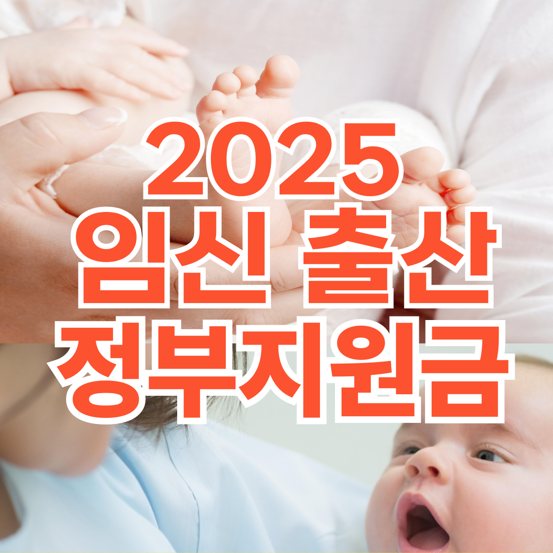 임신출산 정부지원금