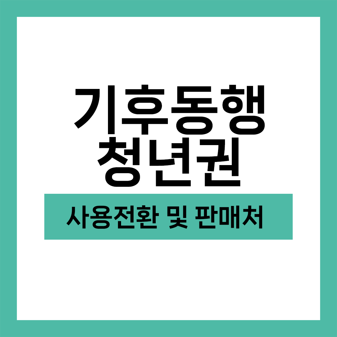 기후동행카드 청년권