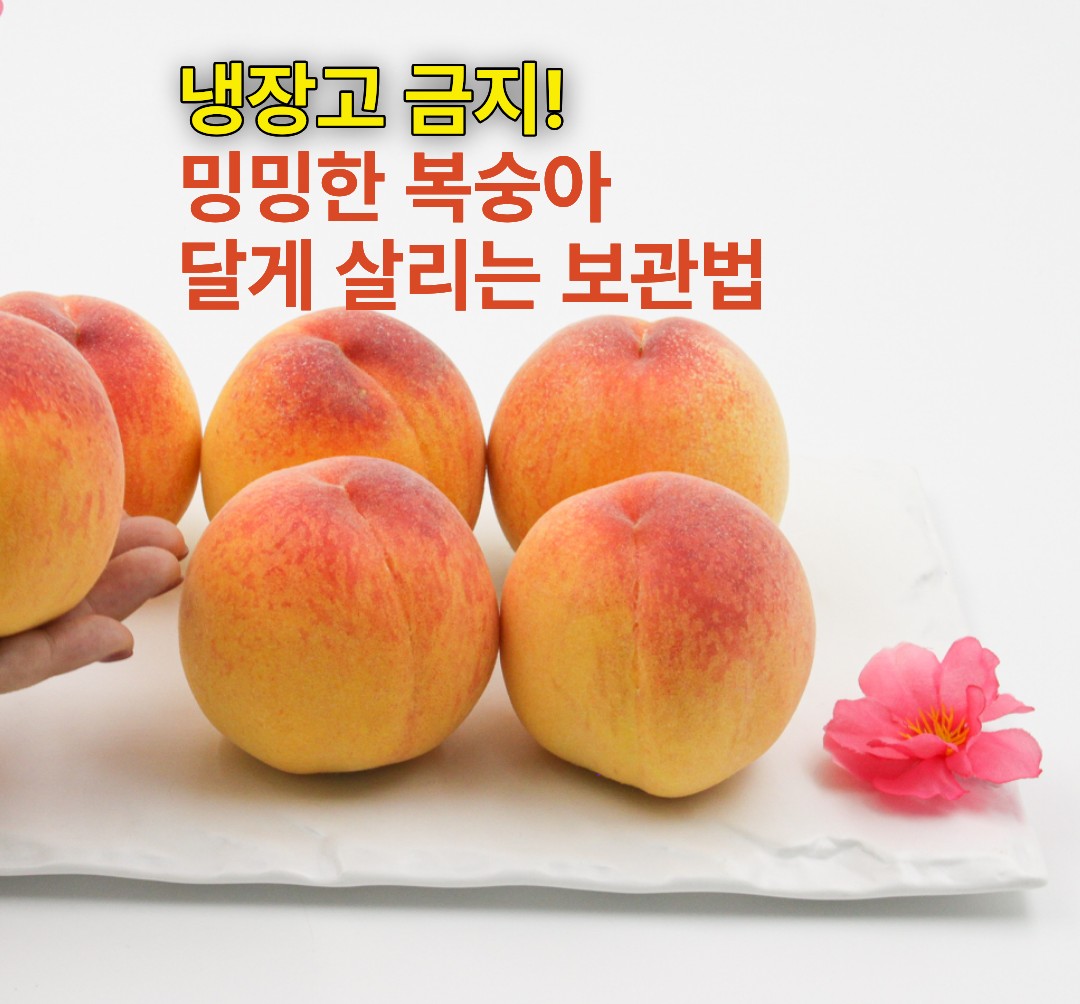 신선하고 먹음직스러운 복숭아들과 그 뒤로 보이는 깨끗한 배경