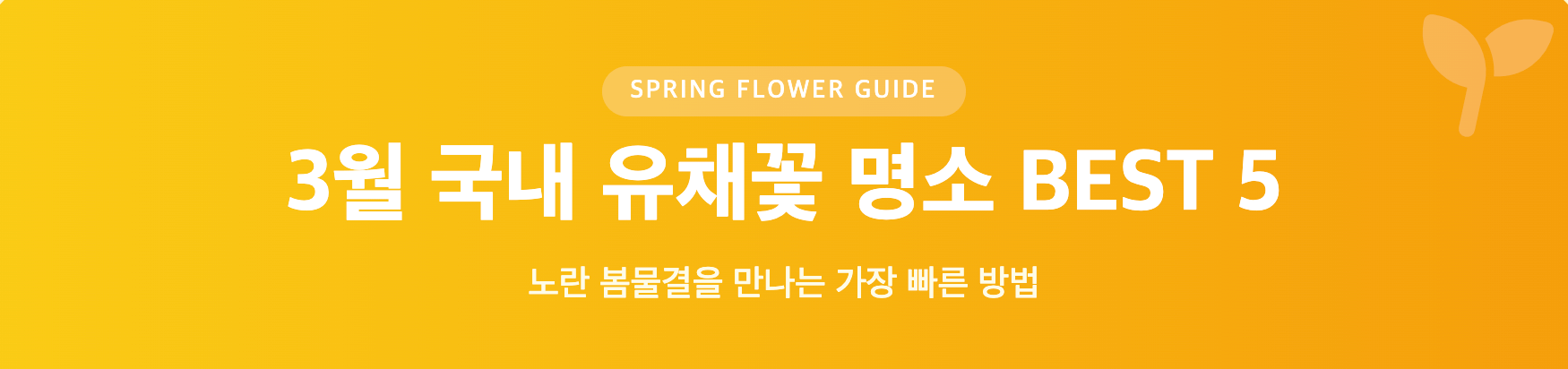 3월 국내 유채꽃 명소 BEST 5 인포그래픽