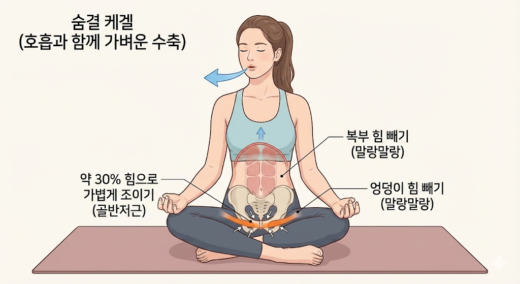 케겔운동