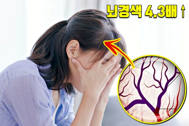 뇌졸중, 코골이 줄이는방법,코골이방지베개,수면무호흡증 증세,건강,팁줌