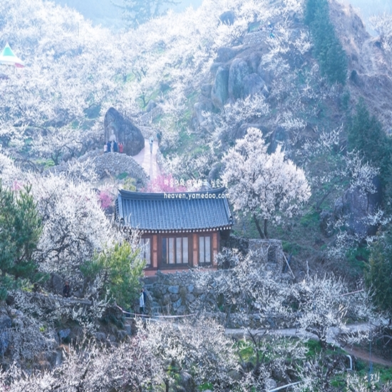 2월에 가볼만한 국내 여행지 베스트10