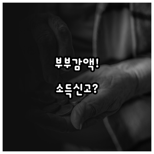기초연금 부부 감액과 소득 신고 필수..