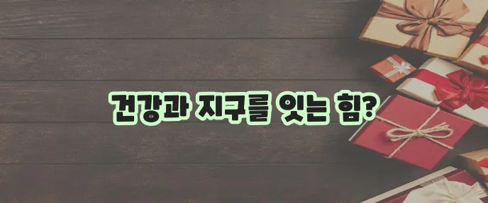 식물성 단백질의 효능과 다양한 섭취 방법