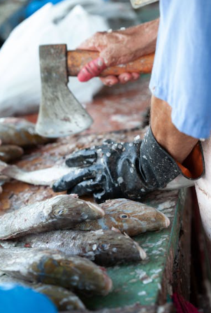 울산 삼치 택배 주문 방법