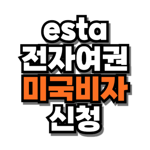 esta 전자여권 미국 비자 신청