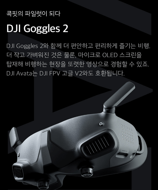 FPV고글