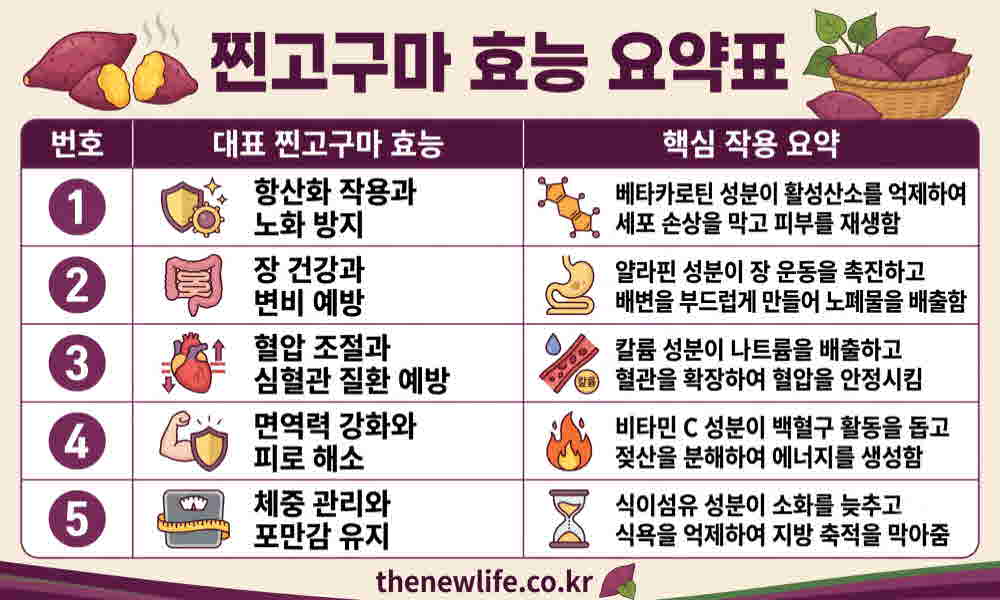 찐고구마 효능 요약표