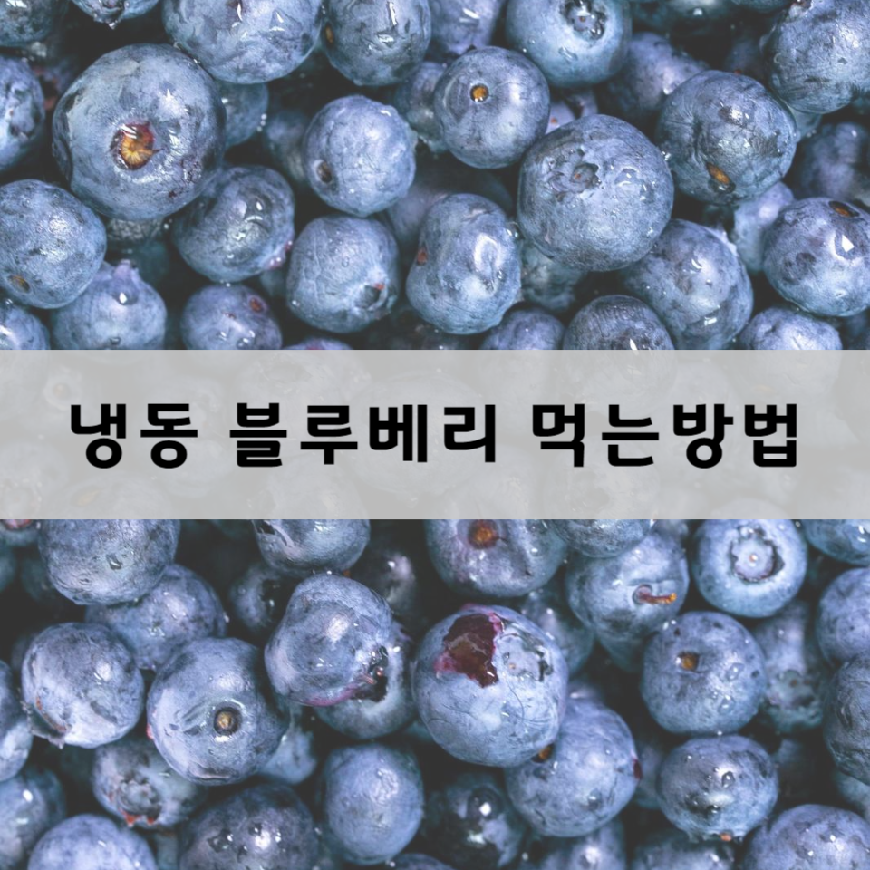 냉동-블루베리-먹는-방법