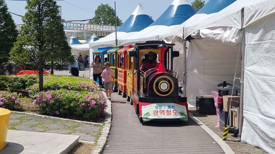 홍천 산나물축제 2026
