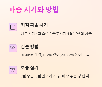 땅콩심는시기 파종 시기