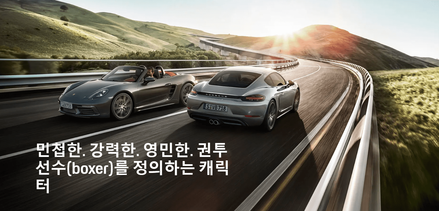 포퍼먼스