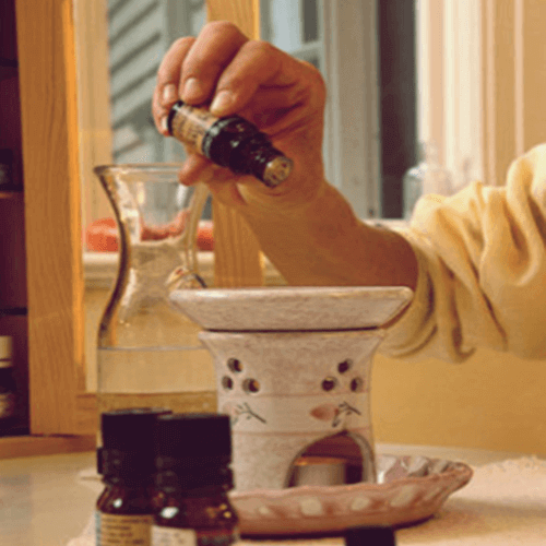 녹나무 효능 정신 건강