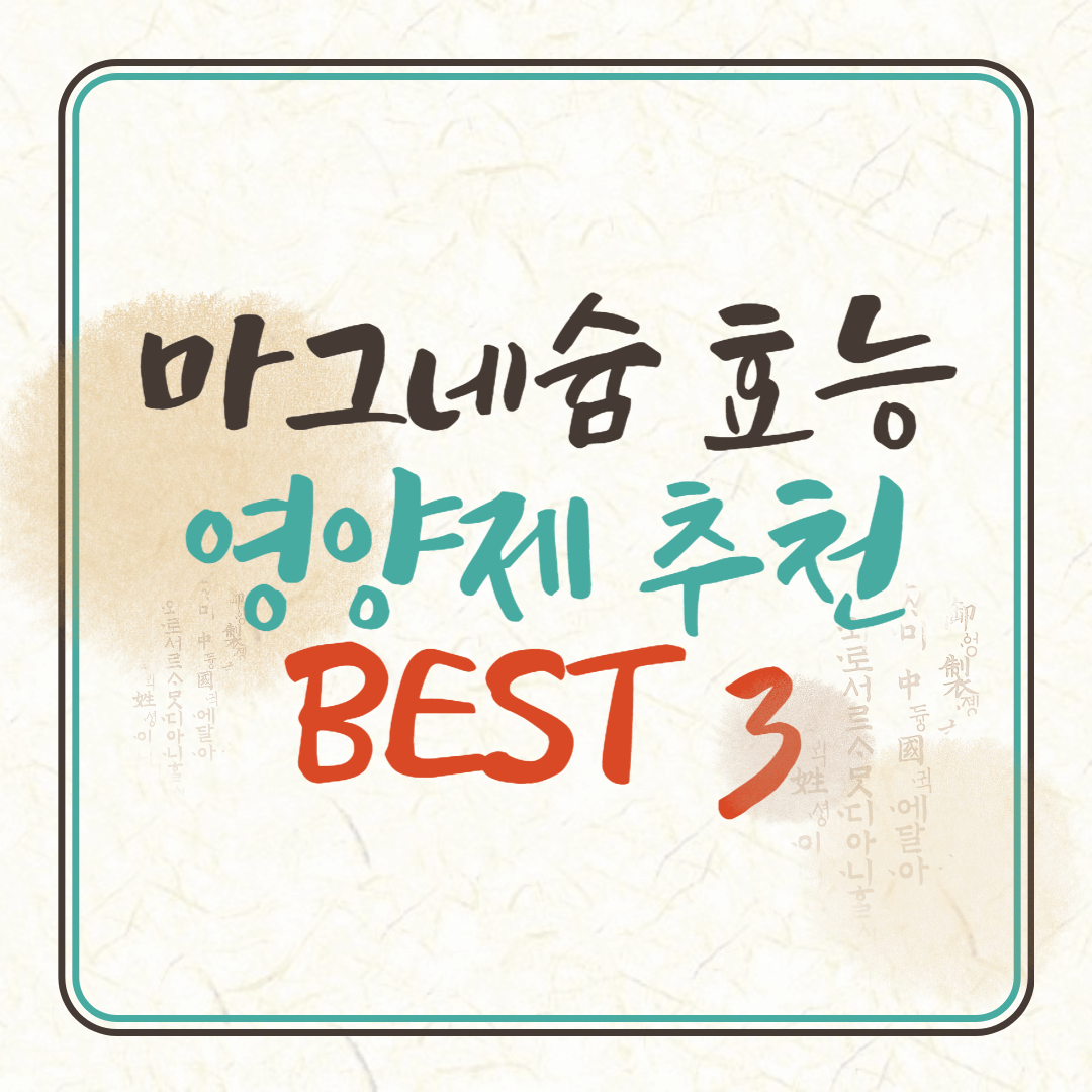 마그네슘 영양제 추천 BEST 3