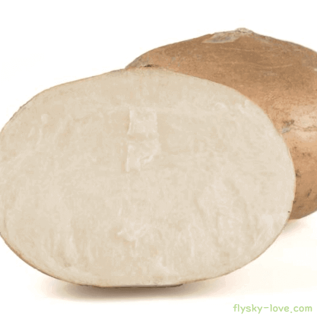 히카마 고르는 법