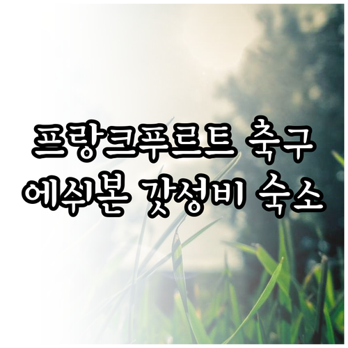 프랑크푸르트 축구 여행 코스 추천과 ..