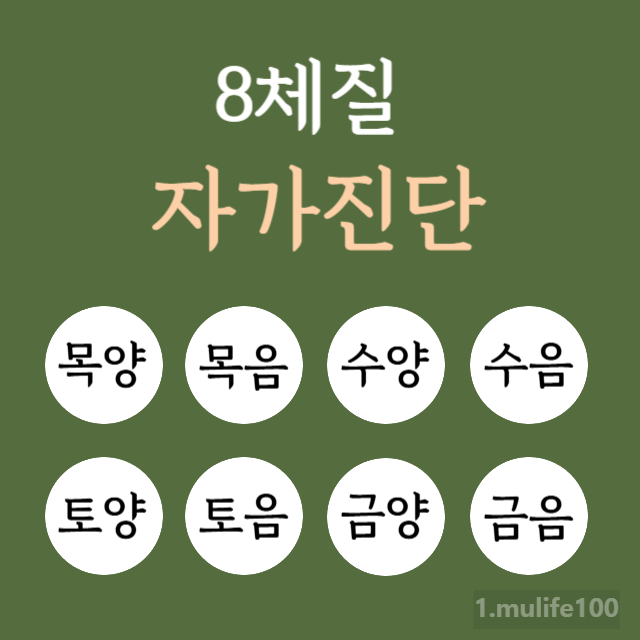 8체질 자가진단테스트