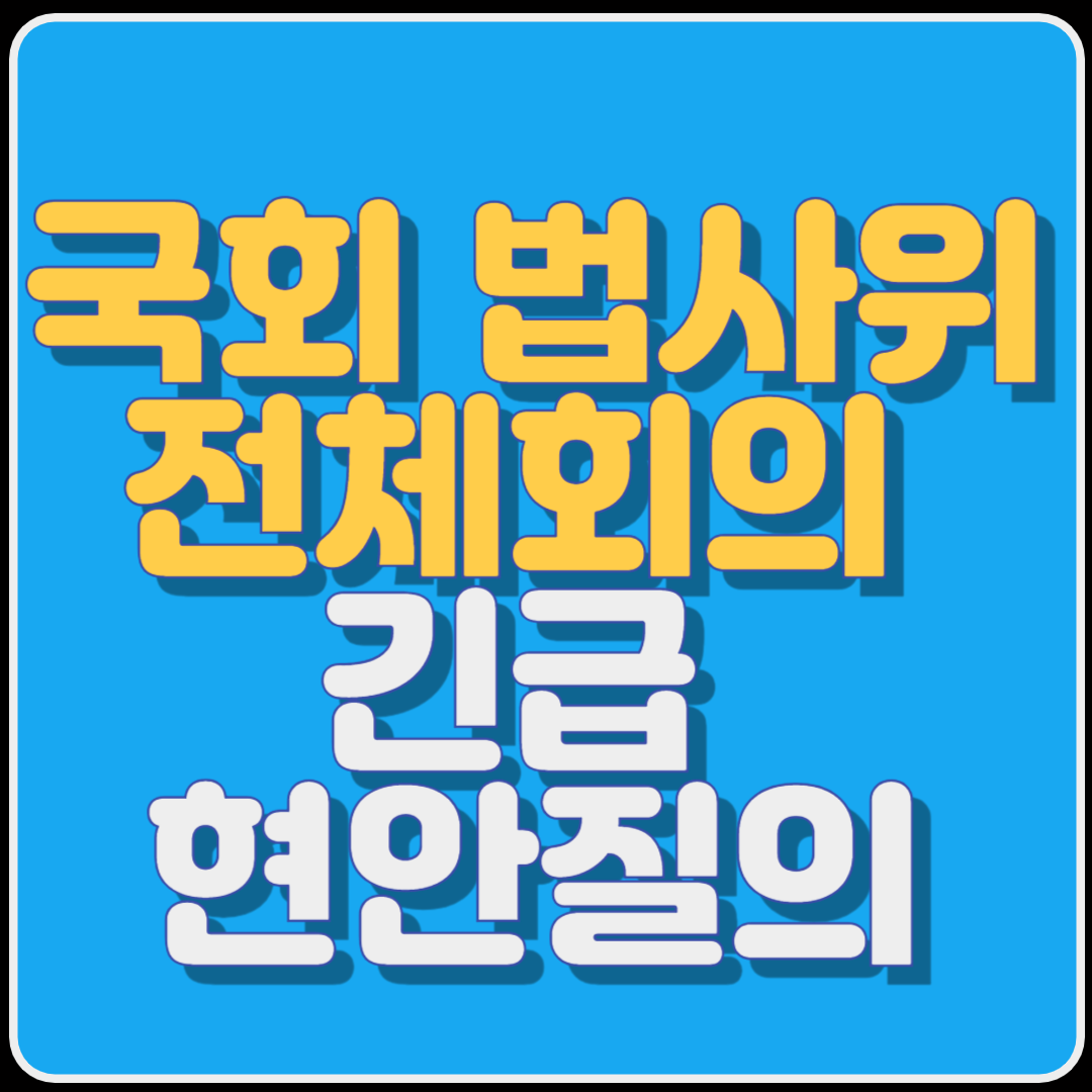 국회 법사위 전체회의 긴급 현안질의