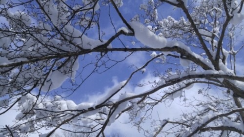 담양 소쇄원 입장료·운영시간·주변 관광 정보