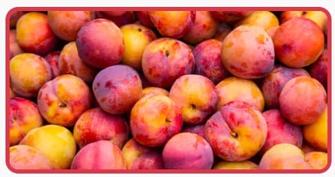 김천 자두 축제