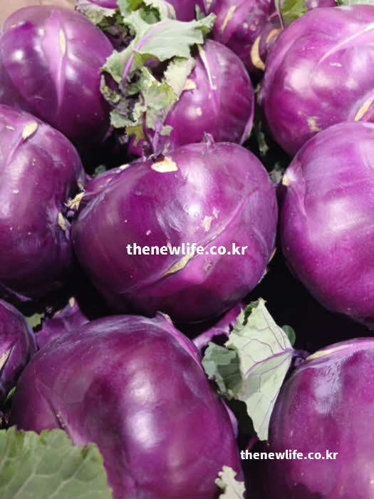 콜라비 효능 피부 미용 안토시아닌
