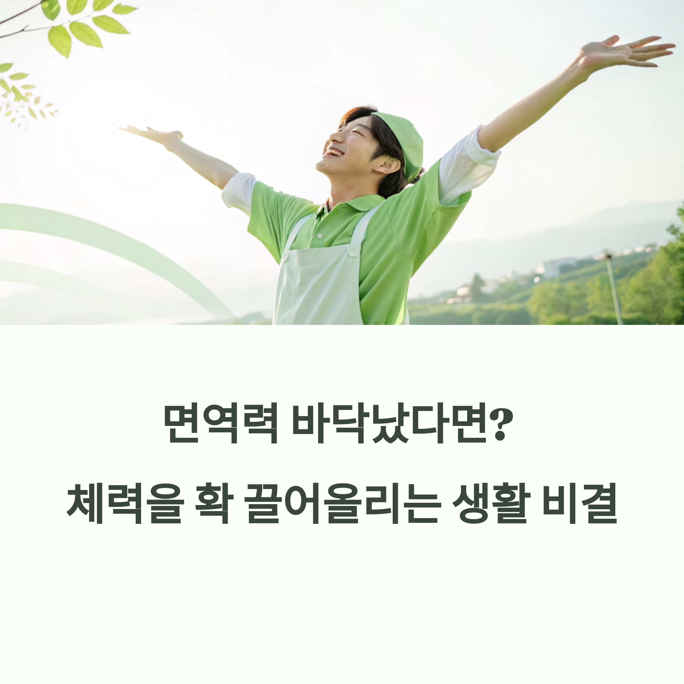 면역력 바닥났다면? 체력을 확 끌어올리는 생활 비결에 대한 이미지