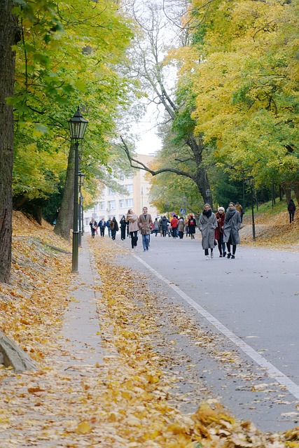 &ldquo;노란 낙엽이 흩날리는 가을길을 걷는 사람들, 계절의 리듬을 기억하는 몸의 이미지