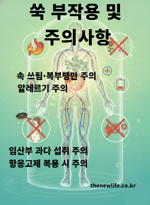 쑥 부작용 및 주의사항 인포그래픽 – 속쓰림, 복부 팽만, 알레르기, 임산부 과다 섭취 주의, 항응고제 복용 시 주의사항을 안내하는 이미지