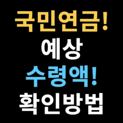 국민연금 예상수령액