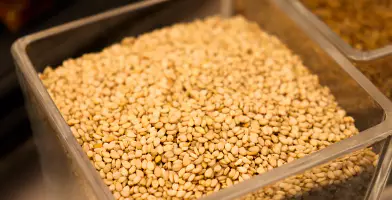 면역력을-높이는-방법-면역력에-좋은-음식-건강