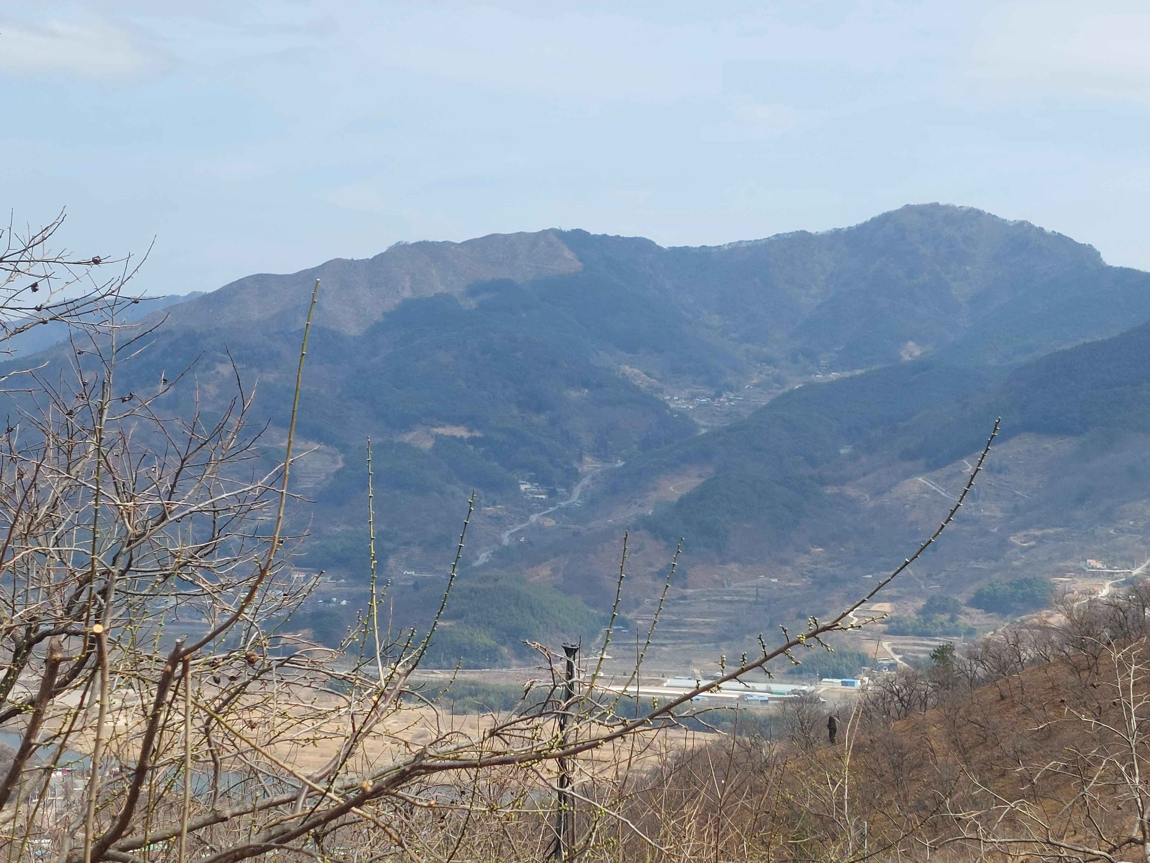 쫓비산