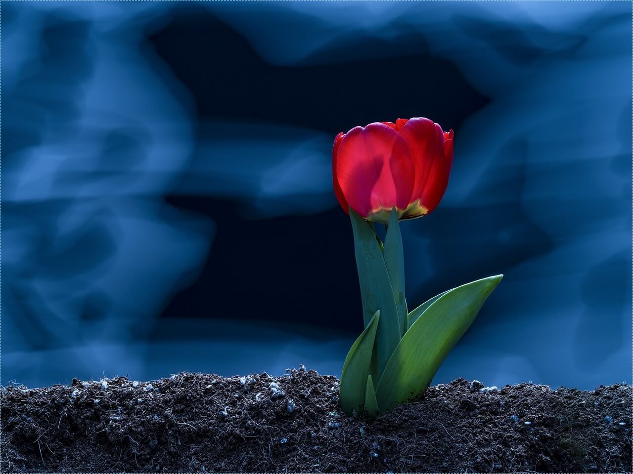 새마을금고 적금 이율