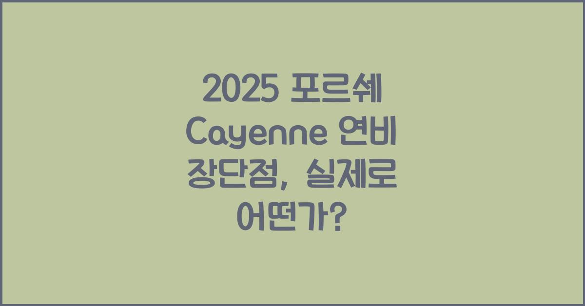 2025 포르쉐 Cayenne 연비 장단점