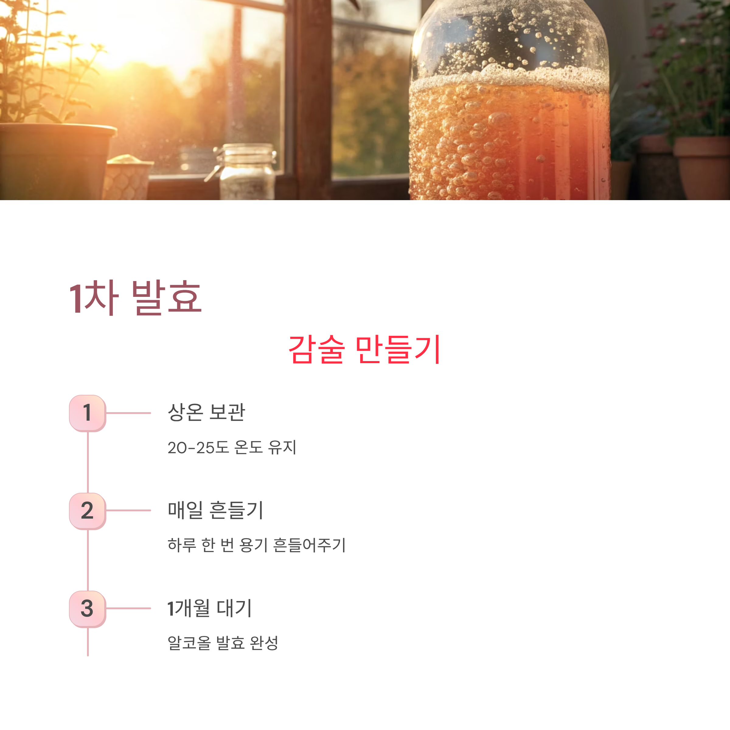 감식초 쉽게 만드는법: 집에서 천연 발효로 건강하게 만드는 완벽 가이드