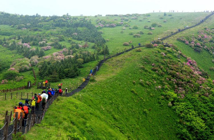 소백산 등산코스