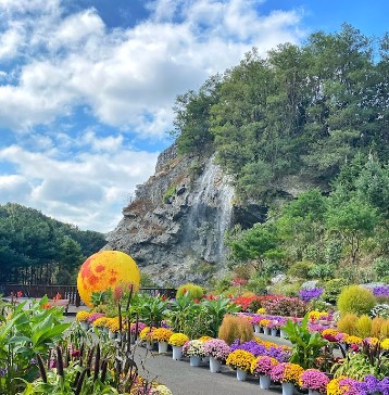 노인교통카드 신청방법