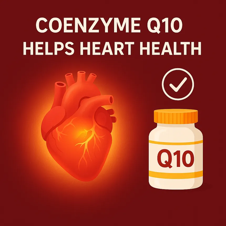 코엔자임큐텐 효능